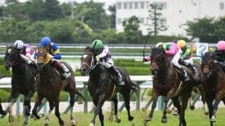 【万哲の馬場予報】速い馬場の適性が重視される可能性も/宝塚記念