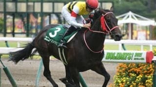 【宝塚記念】ユニコーンライオン陣営「いい意味でまだ底を見せていません」/ねぇさんのトレセン密着