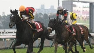 【宝塚記念2021 予想】穴党記者・万哲に聞く　「伏兵として好走する馬」「非根幹距離が得意な馬」「道悪巧者」など