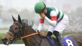 【宝塚記念】レイパパレ高野師「考えうる中で最高のコンディションです」/ねぇさんのトレセン密着