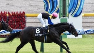 【江の島S】良血馬が揃った一戦はラインベックが逃げ切り