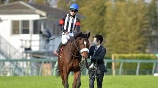 【宝塚記念予想】掲示板を外したことのない堅実派が悲願のGIタイトルに挑む！