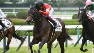 【阪神5R新馬戦結果】1番人気のレッドベルアームが差し切り勝ち
