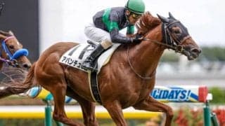 【東京5R新馬戦結果】アバンチュリエが人気に応えて差し切りV