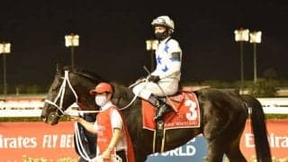 【大井・帝王賞枠順確定】チュウワウィザードは5枠7番、オメガパフュームは6枠8番