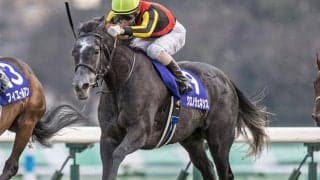 【宝塚記念・馬体重】クロノジェネシスは478kg、レイパパレは432kg(+10)
