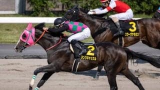 【大沼S結果】ダンツキャッスルが直線一気で2連勝