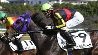 【阪神8R・城崎特別】ジェラルディーナがレース中に右手綱外れる　大敗も人馬無事に完走