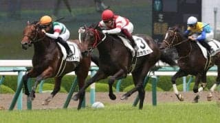 【CBC賞登録馬】熊本産馬 ヨカヨカなど13頭