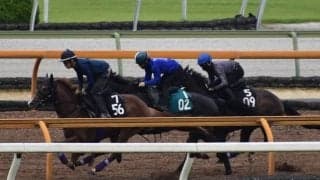 ラッキーモー半弟フィデルが川田将雅騎手でデビュー/関西馬メイクデビュー情報