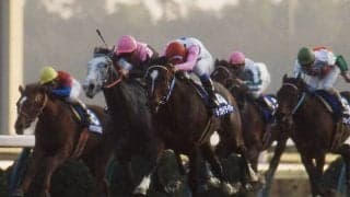 異例の7歳デビューへ一歩前進！ トウカイテイオーのラストクロップ、キセキノテイオーが能検をクリア