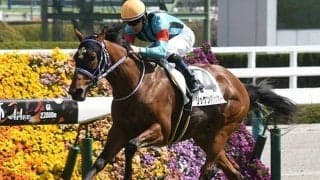 【ラジオNIKKEI賞ハンデ確定】リッケンバッカーは56.0kg、シュヴァリエローズは55.0kg