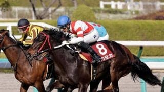 【CBC賞ハンデ確定】ヨカヨカは51.0kg、ピクシーナイトは53.0kg