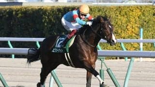 【CBC賞想定騎手】ヨカヨカは和田竜二騎手、ピクシーナイトは福永祐一騎手