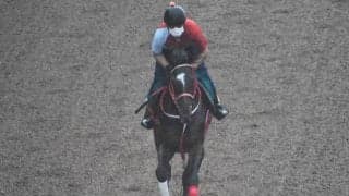 ドナブリーニの2019など、先週のゲート試験/栗東トレセンニュース