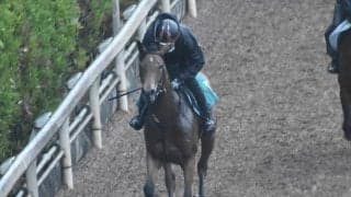 アーデルハイトの2019など、先週の入厩情報/栗東トレセンニュース