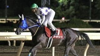 【門別競馬情報】3歳の昨年「58秒4」レコードVのアザワク、2連覇なるか。末脚上位ニットウスバルやスマートアヴァロンらにも注目「第7回グランシャリオ門別スプリントH2」/地方競馬情報