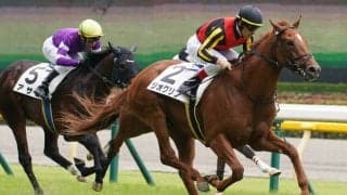 【新馬/東京5R】ドレフォン産駒 ジオグリフが快勝