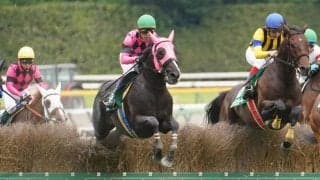 【東京ジャンプS】スマートアペックスが人気に応える