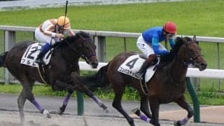 【新馬/東京6R】コンバスチョンが4馬身差完勝！人気に応える