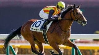 【ラジオNIKKEI賞予想オッズ】ボーデンを中心に上位人気は混戦模様