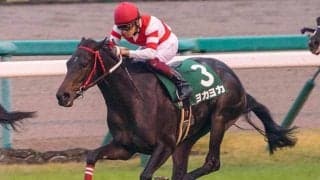 【CBC賞予想オッズ】ヨカヨカが単勝2.0倍で予想1番人気に