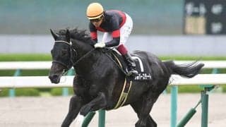 コパノリッキーやキタサンブラックにシルバーステート…早くも活躍を見せる新種牡馬の産駒たち