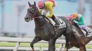 【大井4R・2歳新馬】“リアルダビスタ”夢の第一歩、クールフォルテが初陣飾る/地方競馬レース結果