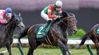 【大井・JDD】JRA所属の選定馬発表　ウェルドーン、スマッシャー、ゴッドセレクションなど