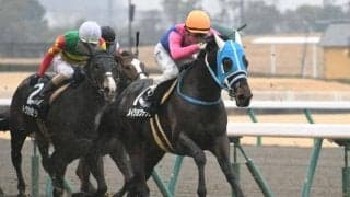 【CBC賞展望】今年は小倉開催のサマースプリント第2弾、好走の条件とは