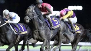 【帝王賞】得意舞台でオメガパフュームの末脚に期待する