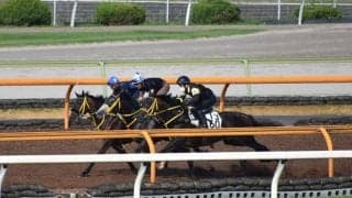 ヴァンケドミンゴ、七夕賞1週前追い切り速報/栗東トレセンニュース