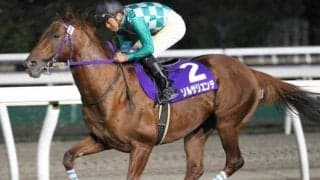 【門別競馬情報】相当ハイレベルだった“日本一早い2歳重賞”栄冠賞。突き抜けたモーニングショー筆頭に、将来楽しみな逸材わんさ！今夜メイン11Rは「ルーラーシップ・プレミアム」/地方競馬情報