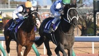 【帝王賞予想】上位混戦！ 豪華メンバーの中でAI指名の激走注目馬は/JRAレース展望