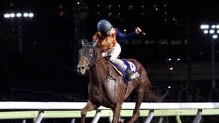 【帝王賞】テーオーケインズが交流G1初制覇！