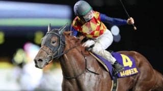 【帝王賞全着順】人気のオメガパフュームは5着、チュウワウィザード6着、カジノフォンテンは10着に敗れる