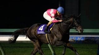 【盛岡・マーキュリーC】地方他地区所属選定馬発表！サルサディオーネやリンノレジェンドら5頭が選定