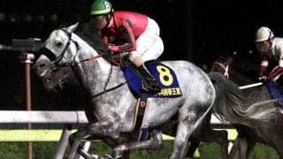 【帝王賞】デムーロ「伸びなかった」オメガパフュームはまさかの5着