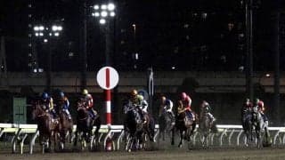 【帝王賞】デムーロ「進んでいかなかった」レース後ジョッキーコメント