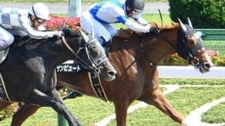 【門別競馬情報】赤レンガ記念快勝のリンノレジェンド参戦！JRA2勝クラス勝って転入初戦サンビュートらの挑戦を凌いでみせるか「ハービンジャー・プレミアム」/地方競馬情報