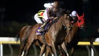 【川崎・スパーキングLC】テオレーマは川田将雅騎手、ウルトラマリンは福永祐一騎手が騎乗予定