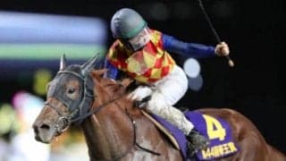 【帝王賞回顧】急成長の4歳馬テーオーケインズが一気に頂点へ/斎藤修