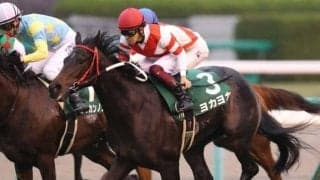 【CBC賞出走馬・騎手確定】ヨカヨカ＆和田竜二、アウィルアウェイ＆松山弘平など13頭