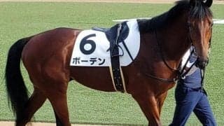 【ラジオNIKKEI賞出走馬・騎手確定】リッケンバッカー＆幸英明、ボーデン＆武藤雅など16頭