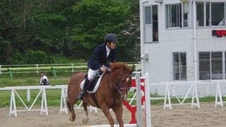 競走馬のセカンドキャリア/島田明宏