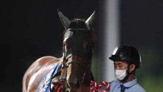 【帝王賞】一夜明け、テーオーケインズ高柳師「ゴール板過ぎるまで勝った気がしませんでした」/ねぇさんのトレセン密着