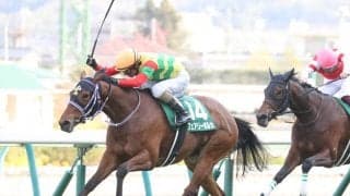 【スパーキングレディーC】JRA出走予定馬