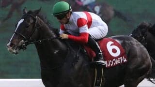 ダノンプレミアムが競走馬登録抹消