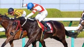 【CBC賞枠順確定】ヨカヨカは6枠9番、ピクシーナイトは7枠11番