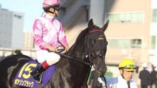 新種牡馬ポアゾンブラック産駒がJRA初出走　土曜福島6Rのイチネンエーグミ